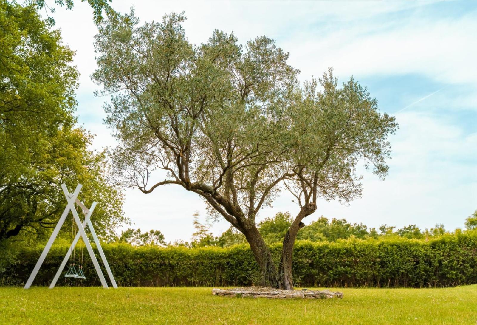 Luxury Villa In Istria - 9,000 Sqm Private Estate With Pool & Sauna, 15 Min To Sea, Near Fazana, 3 Bedrooms Juršići Exterior foto